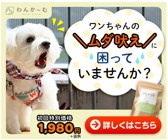 わんかーむ 販売店